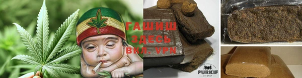 тгк Горно-Алтайск