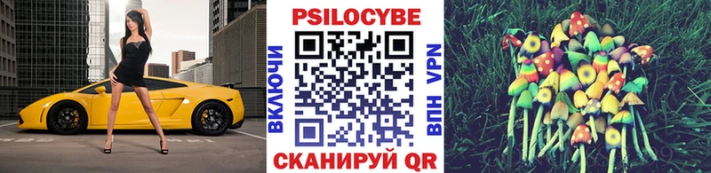 Псилоцибиновые грибы мицелий  Купить закладки  Тарко-Сале 